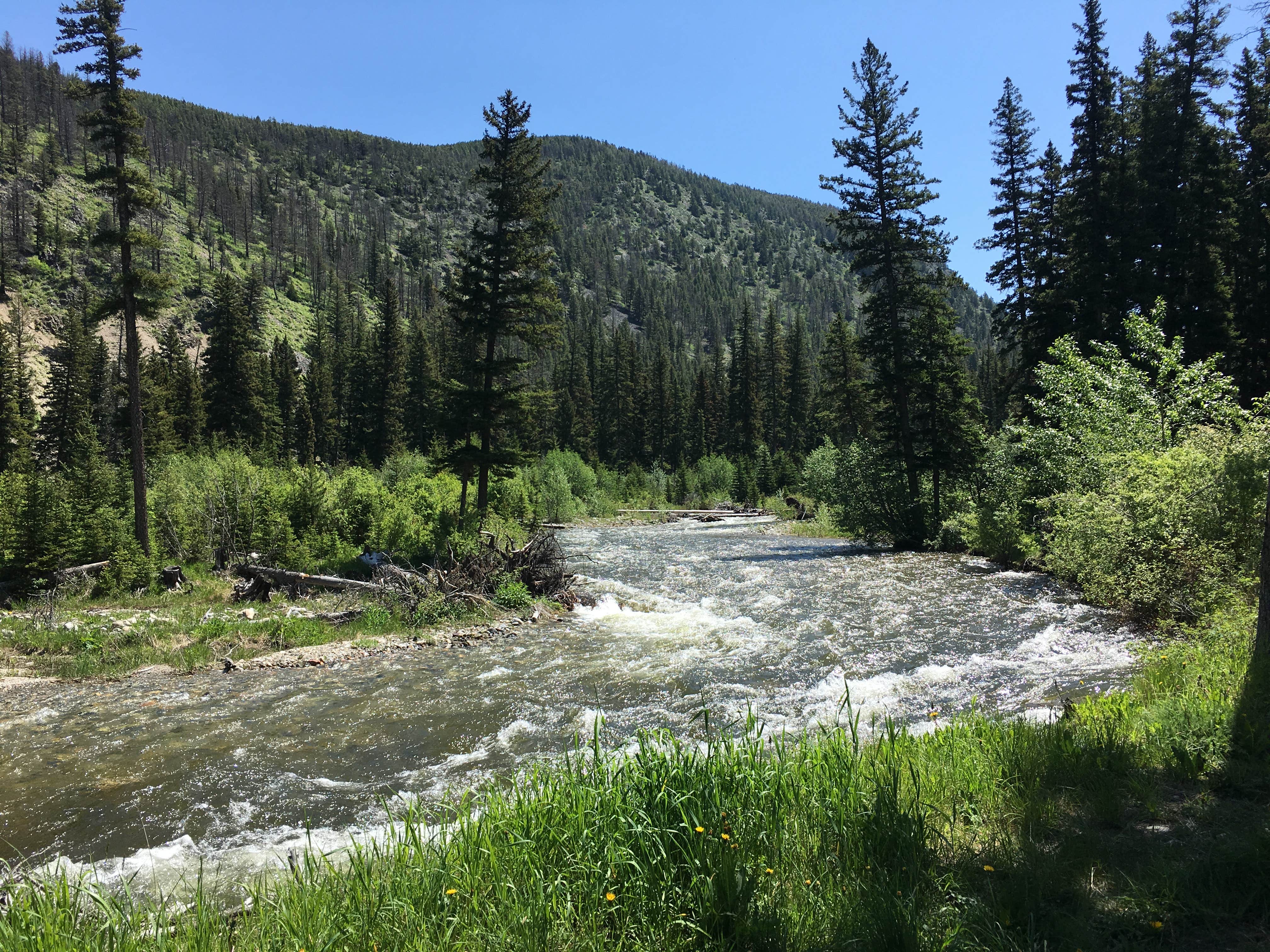 Camper submitted image from East Boulder Campground - 3