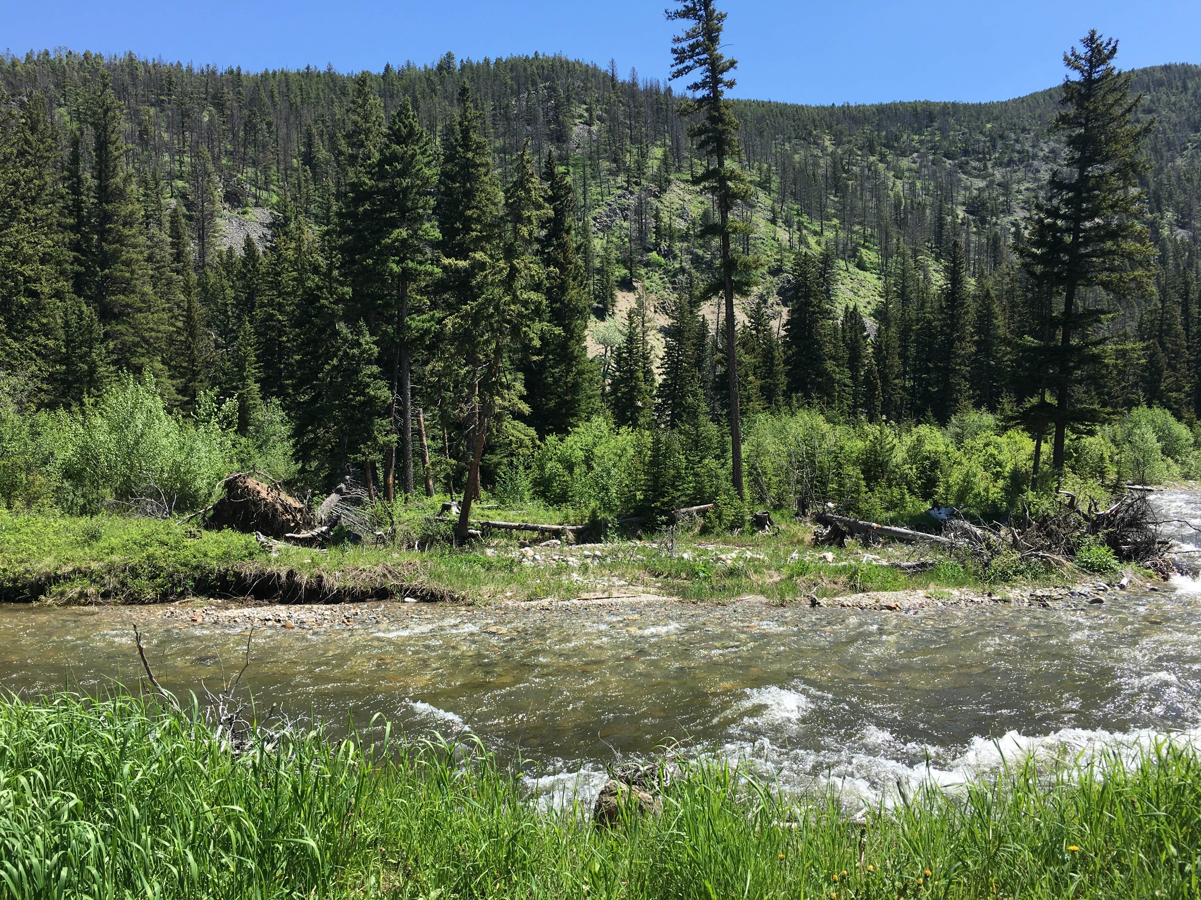 Camper submitted image from East Boulder Campground - 2