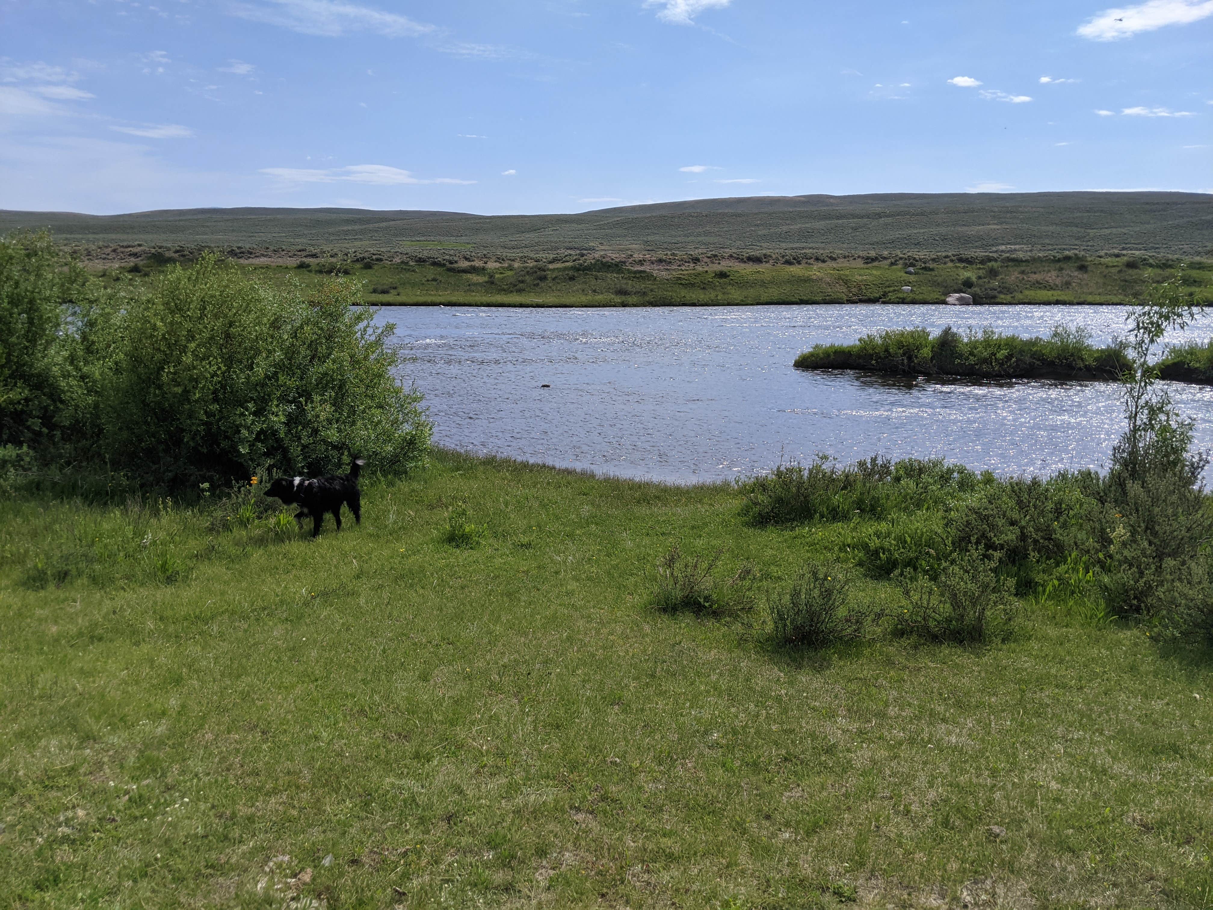 Camper submitted image from Warren Bridge Recreation Area Designated Dispersed Camping - 5