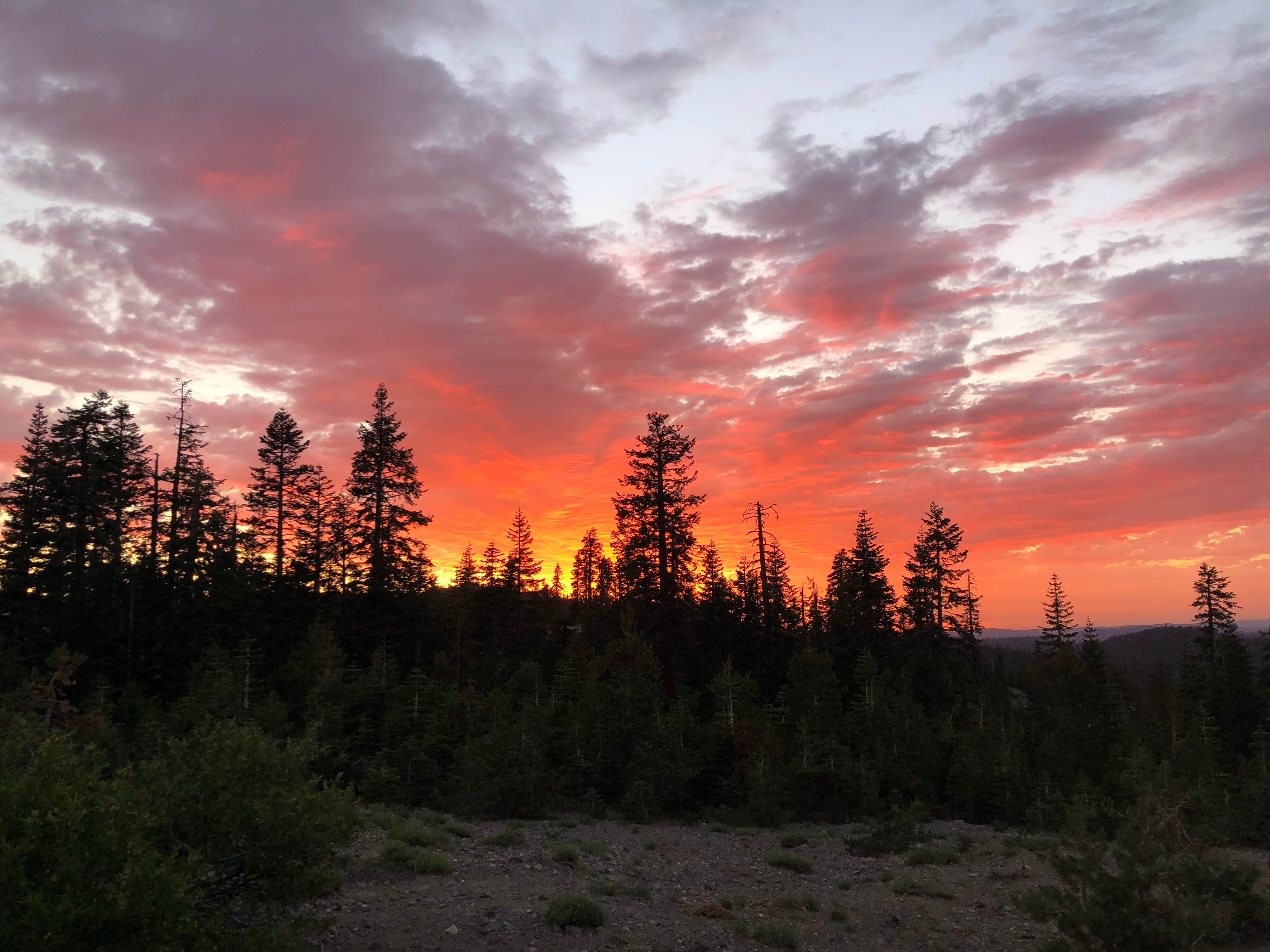 Caroline U.'s photo of a dispersed camping area at Iron MT. Dispersed near Placerville, CA