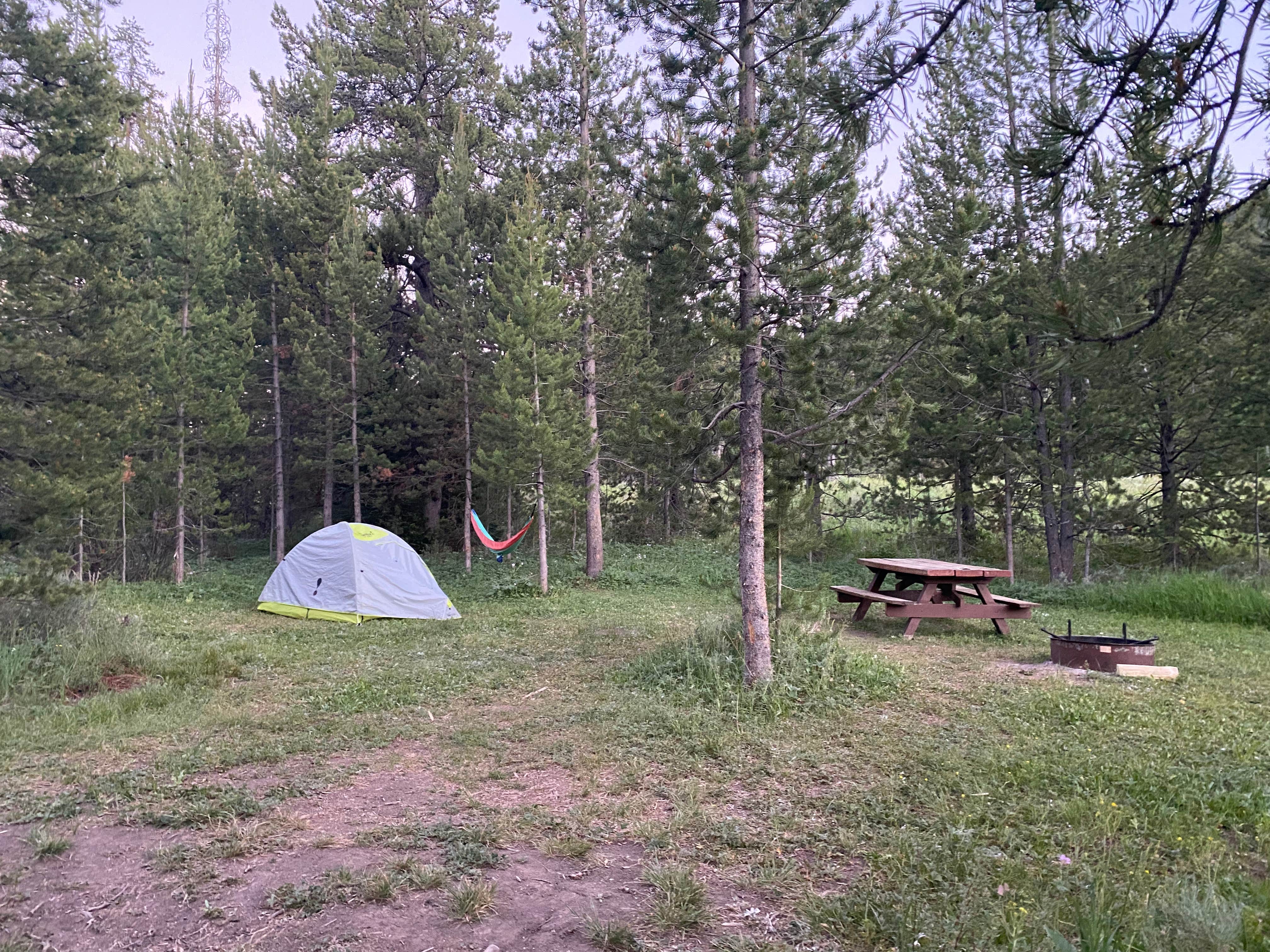 Aakansha J.'s photo at Kozy Campground near Bridger-Teton National Forest
