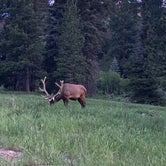 Review photo of East Portal Campground at Estes Park   by Aakansha J., June 23, 2021