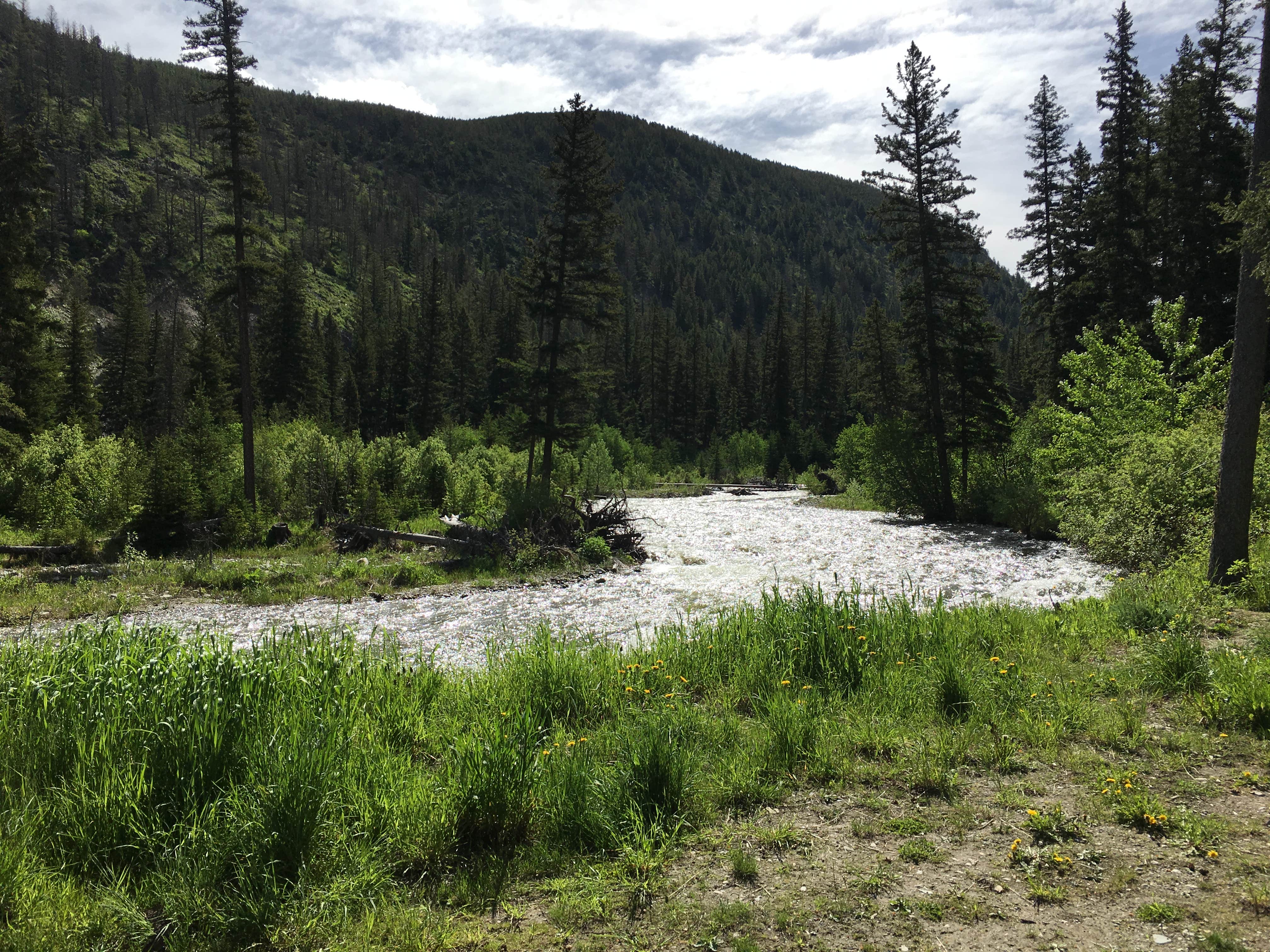 Camper-submitted photo at East Boulder Campground near Emigrant, MT