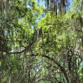 Review photo of Skidaway Island State Park Campground by Robin K., June 23, 2021