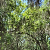 Review photo of Skidaway Island State Park Campground by Robin K., June 23, 2021