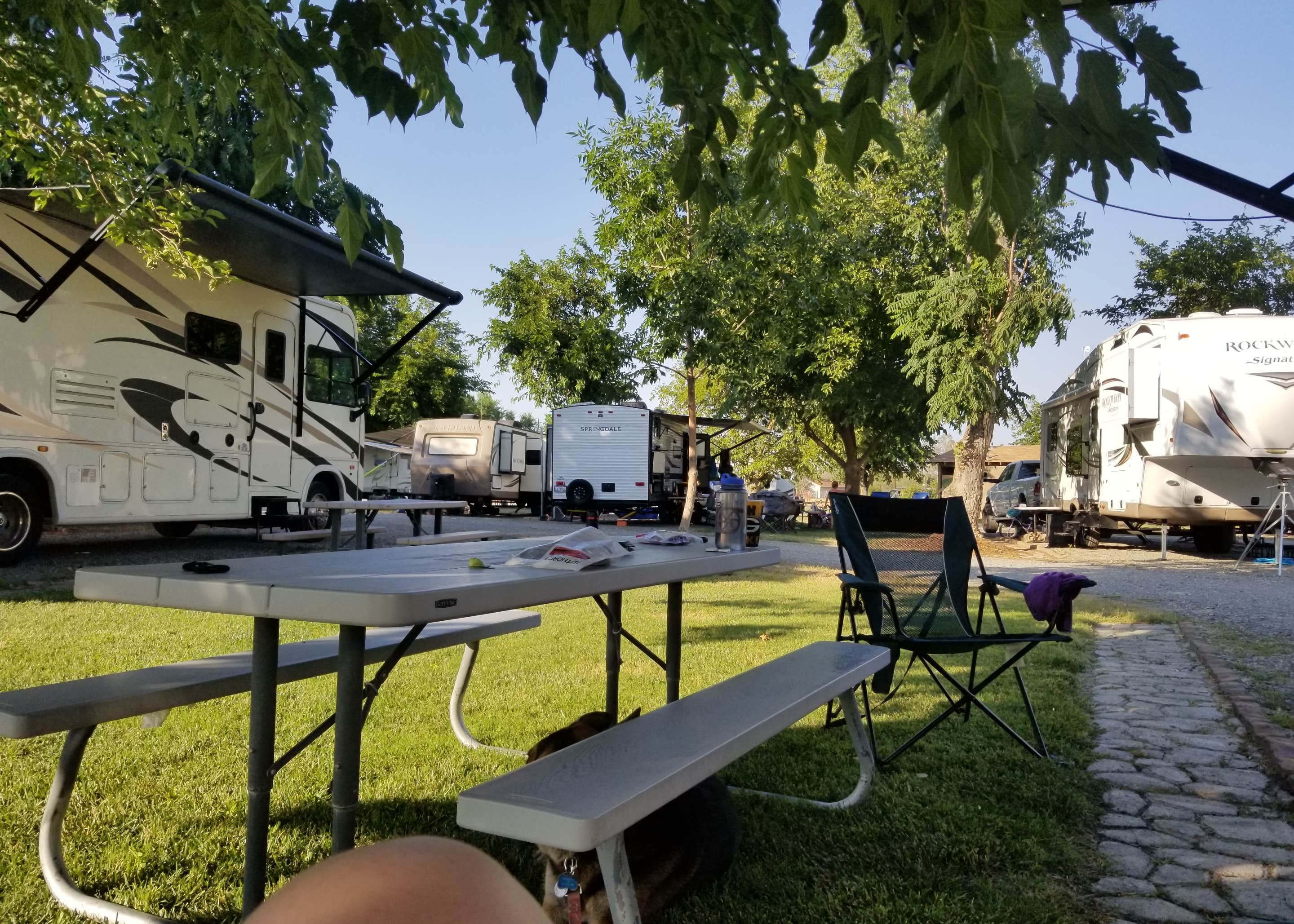Parkway RV Resort & Campground Camping The Dyrt