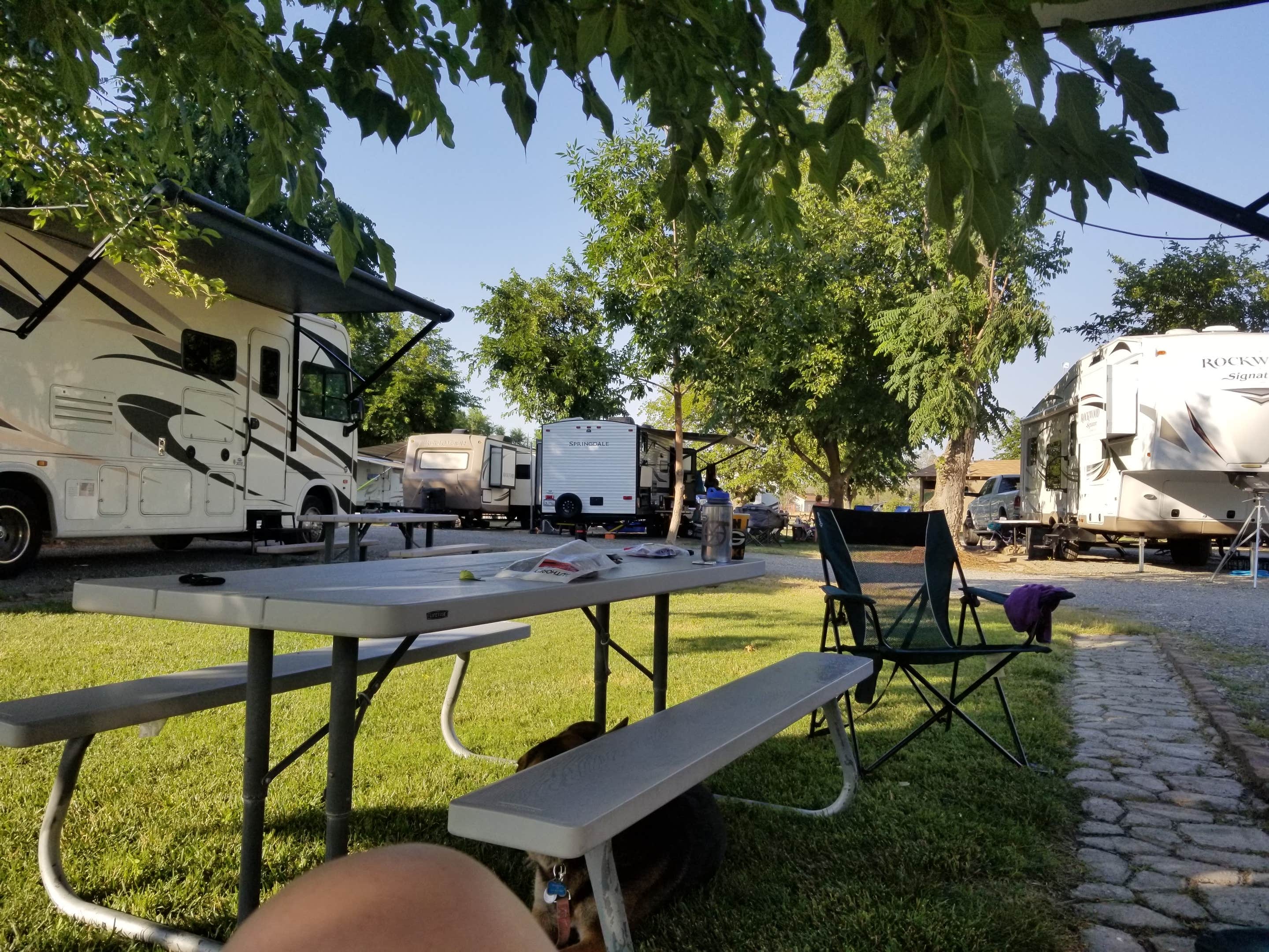 Camper submitted image from Parkway RV Resort & Campground - 1