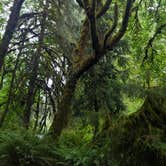 Review photo of Falls Creek Campground by Amber M., June 23, 2021