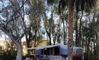 Camping near Bill Frederick Park at Turkey Lake: Magnolia Park Campground, Clarcona, Florida