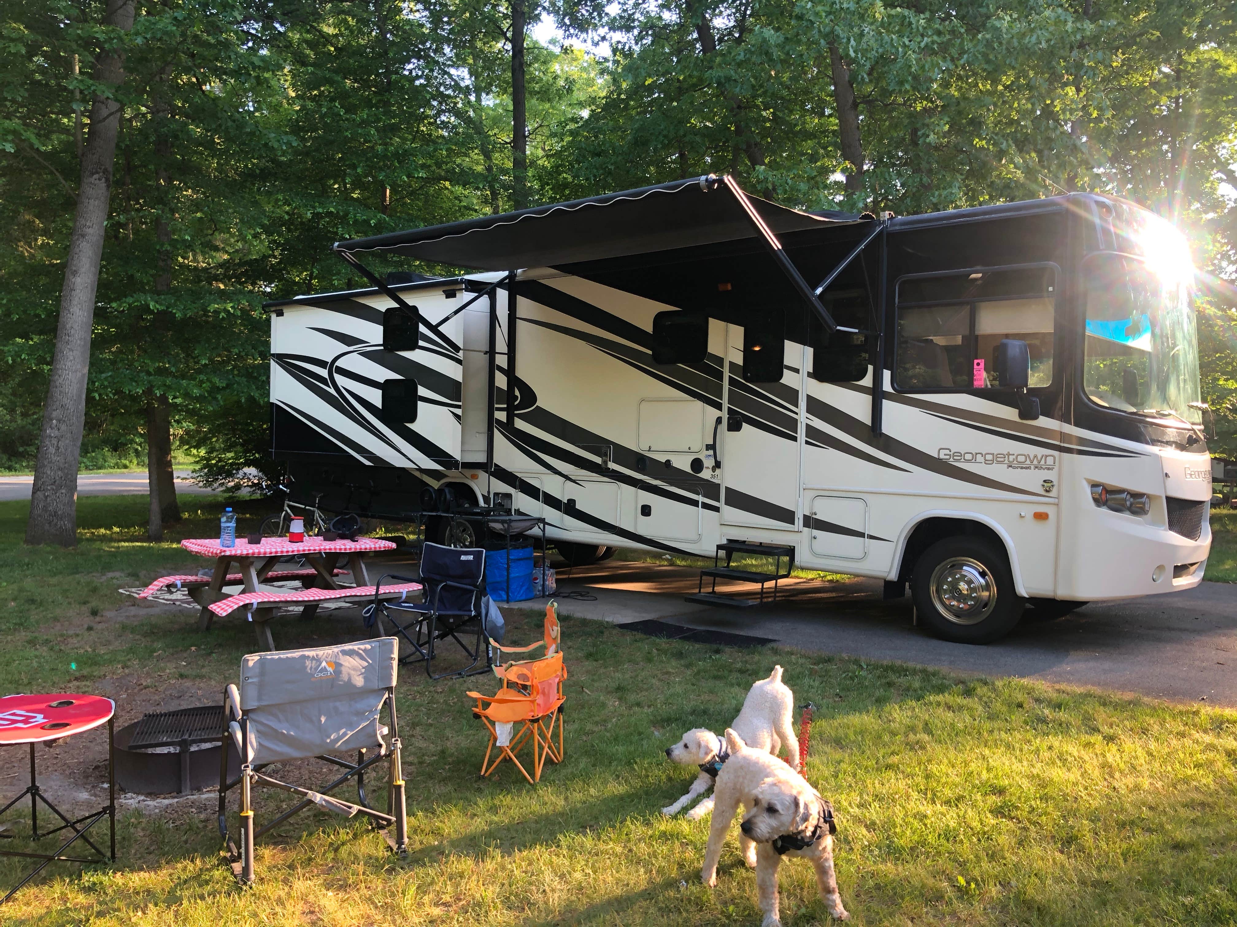 Burns G.'s photo of camping with pets at Indiana Dunes State Park Campground near La Porte, IN