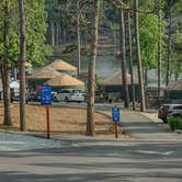 Review photo of Stone Mountain Park Campground by ana R., June 23, 2021