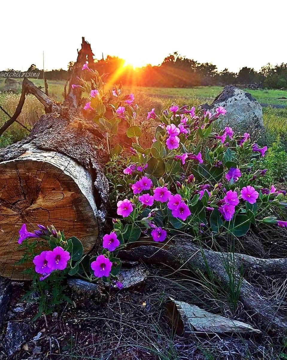 Camper-submitted photo at Mujeres Valley Campground near Pinehill, NM