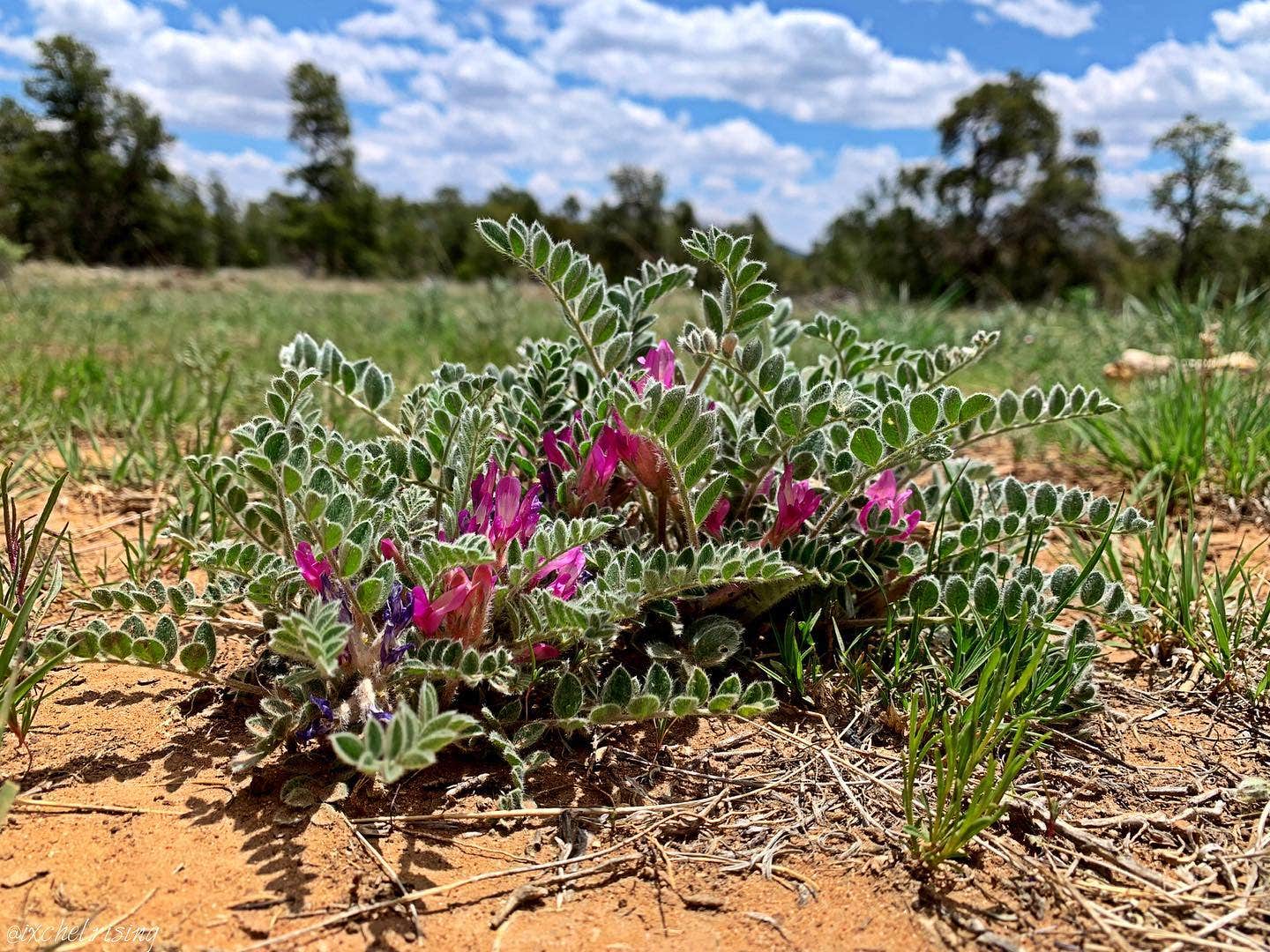 Camper-submitted photo at Mujeres Valley Campground near Pinehill, NM