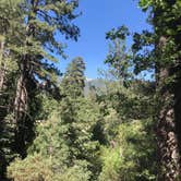 Review photo of Idyllwild Campground by Lisa , June 24, 2021