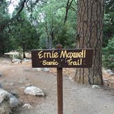 Review photo of Idyllwild Campground — Mount San Jacinto State Park by Lisa , June 24, 2021