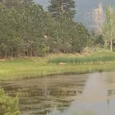 Review photo of Estes Park Campground at Mary's Lake by Chris S., June 24, 2021