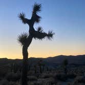 Review photo of Ricardo Campground — Red Rock Canyon State Park by Patty M., June 24, 2021