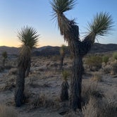 Review photo of Ricardo Campground — Red Rock Canyon State Park by Patty M., June 24, 2021