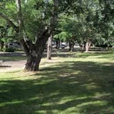 Review photo of Memaloose State Park Campground by Robert D., June 21, 2021