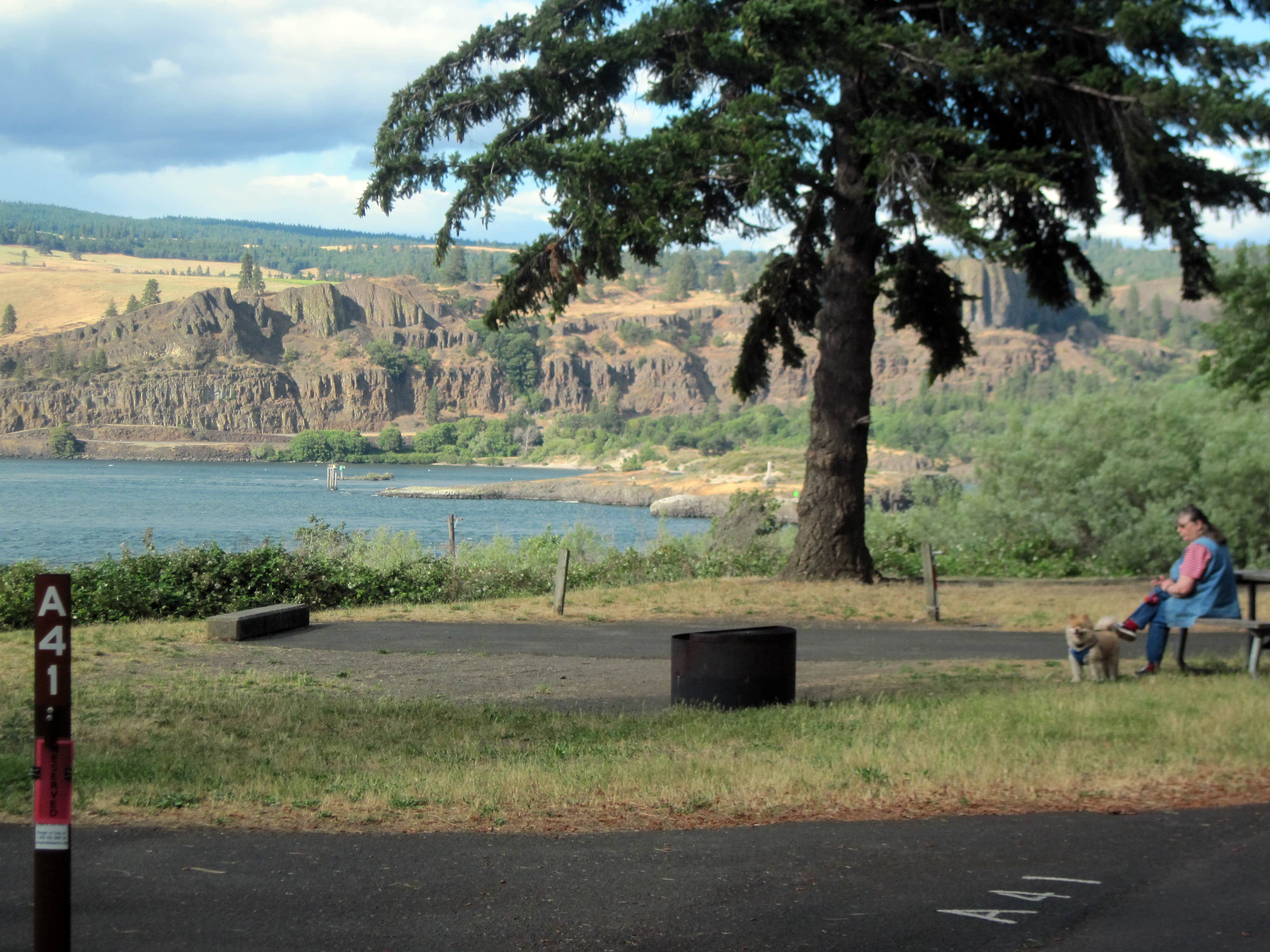 Robert D.'s photo of camping with pets at Memaloose State Park Campground near Hood River, OR