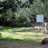 Review photo of Memaloose State Park Campground by Robert D., June 21, 2021