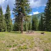 Review photo of Priest Lake Dispersed Camping Area by Shawna , June 24, 2021