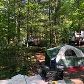 Review photo of Petoskey State Park Campground by Victoria D., June 24, 2021