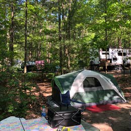 Petoskey State Park Campground