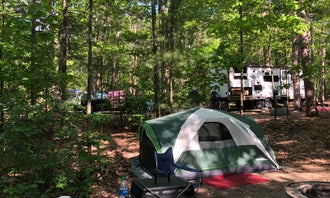 Camping near Hearthside Grove Luxury Motorcoach Resort: Petoskey State Park Campground, Conway, Michigan