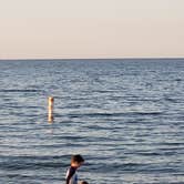 Review photo of Maumee Bay State Park Campground by dave W., June 24, 2021