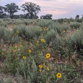 Review photo of Prewitt Reservoir State Wildlife Area by Hoody S., June 24, 2021