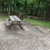 Review photo of Lake of the Ozarks State Park Campground by Lucy L., June 24, 2021