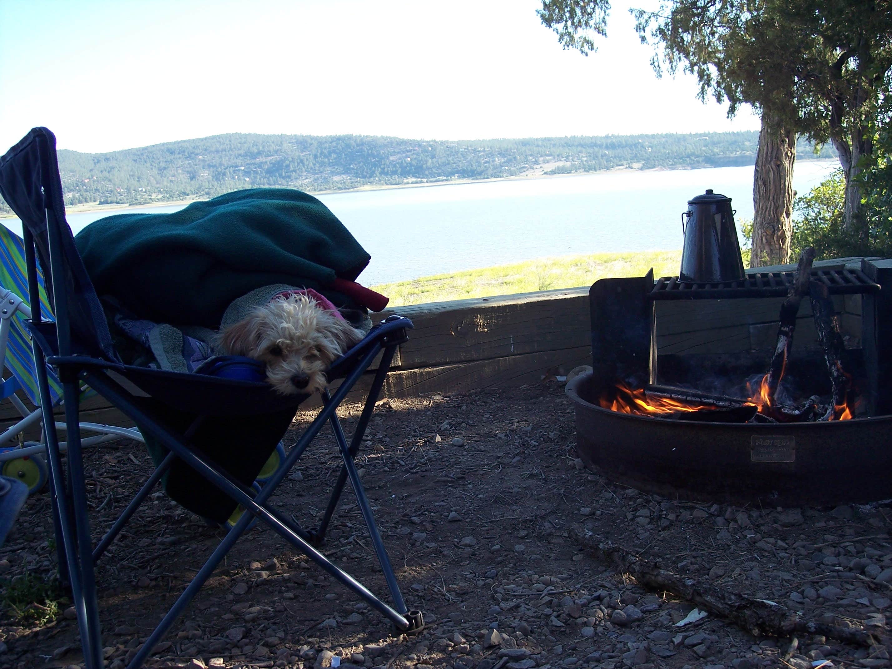 Celina M.'s photo of camping with pets at Willow Creek Campground — Heron Lake State Park near Tierra Amarilla, NM