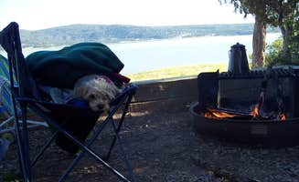 Celina M.'s photo of camping with pets at Willow Creek Campground — Heron Lake State Park near Tierra Amarilla, NM
