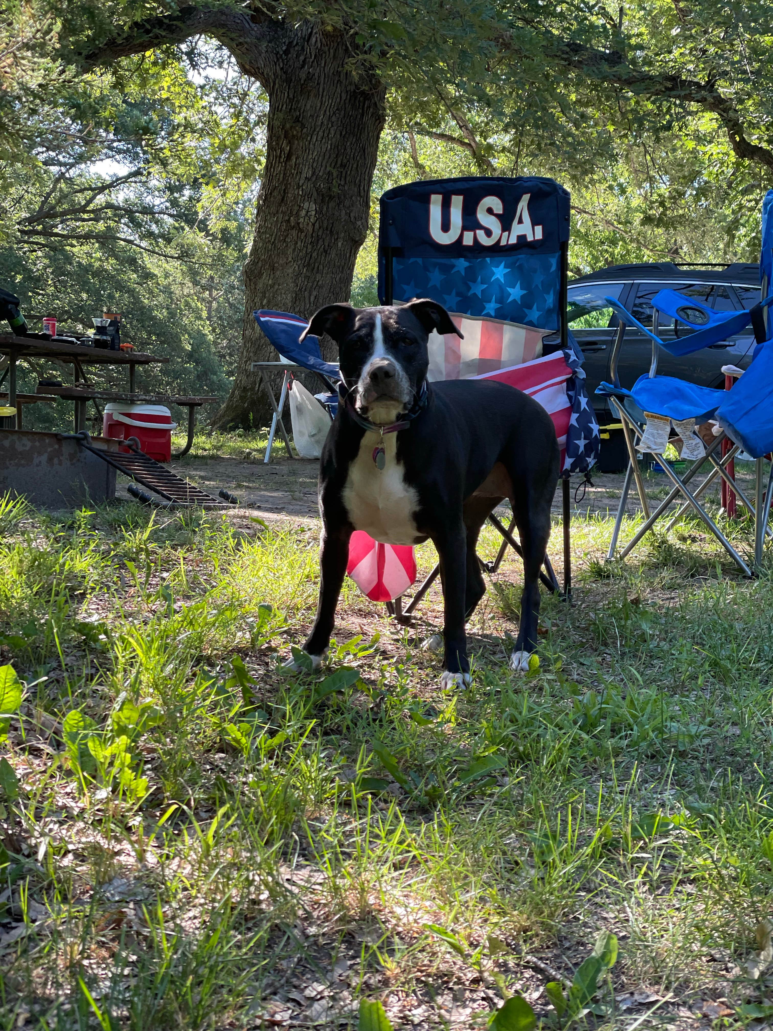 Tanner H.'s photo of camping with pets at Jester County Park near Webster City, IA