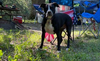 Tanner H.'s photo of camping with pets at Jester County Park near Des Moines, IA