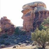 Review photo of Split Top Group Campsite — Canyonlands National Park by Alan B., June 11, 2018