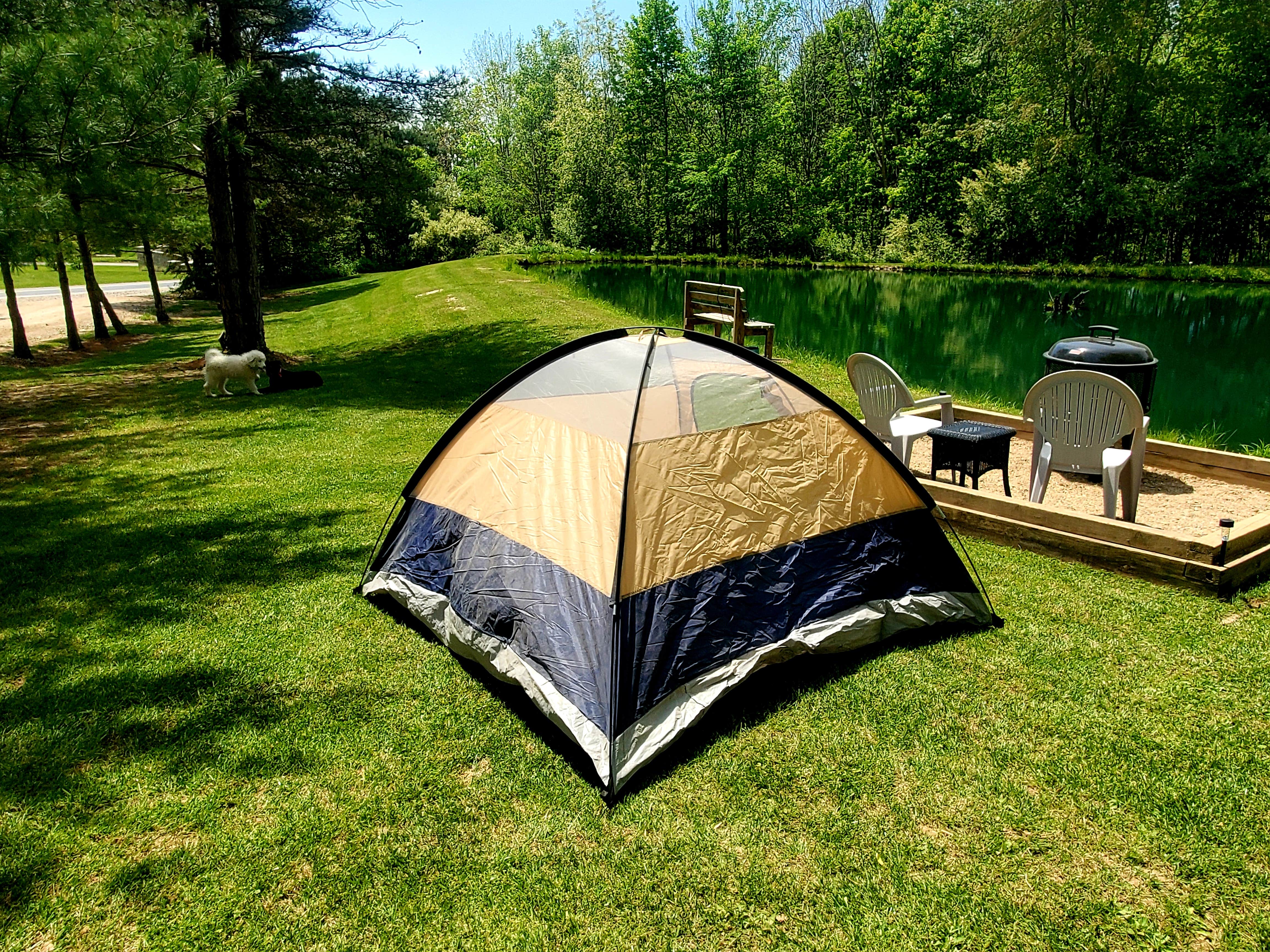 Jodie C.'s photo at Broken Road Farm near Greenwich, OH