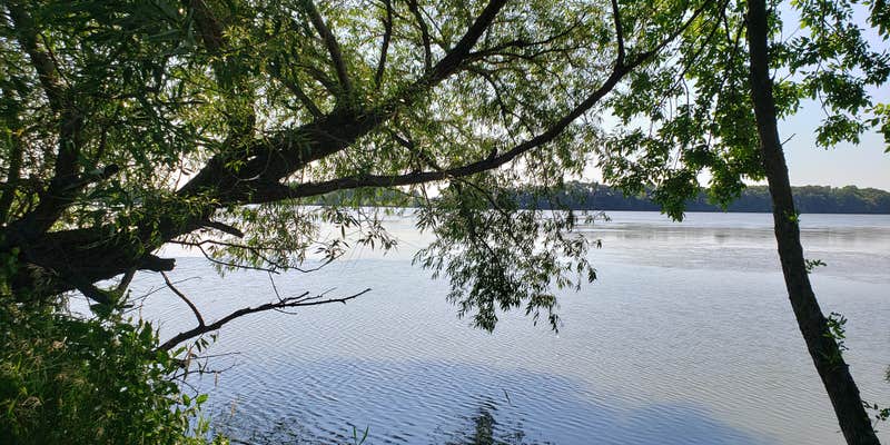 Camper submitted image from White Fox Campground — Myre-Big Island State Park