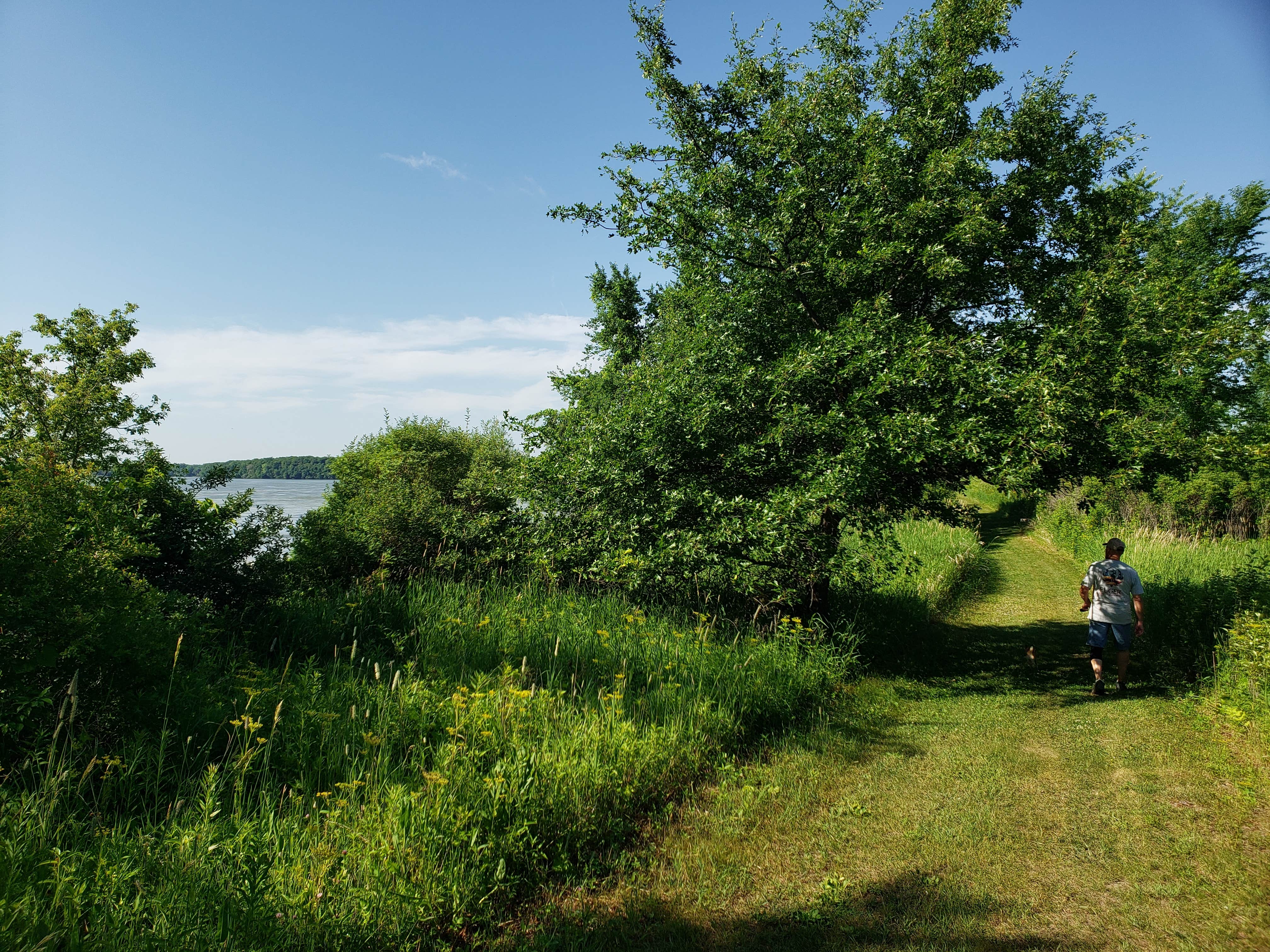 Camper-submitted photo at White Fox — Myre-Big Island State Park near Hayward, MN