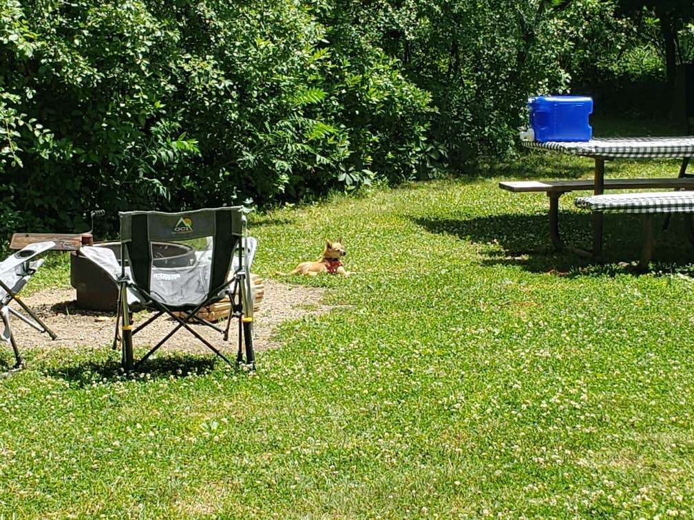 Stephanie B.'s photo of camping with pets at White Fox — Myre-Big Island State Park near Albert Lea, MN