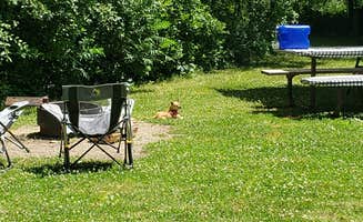 Stephanie B.'s photo of camping with pets at White Fox — Myre-Big Island State Park near Britt, IA