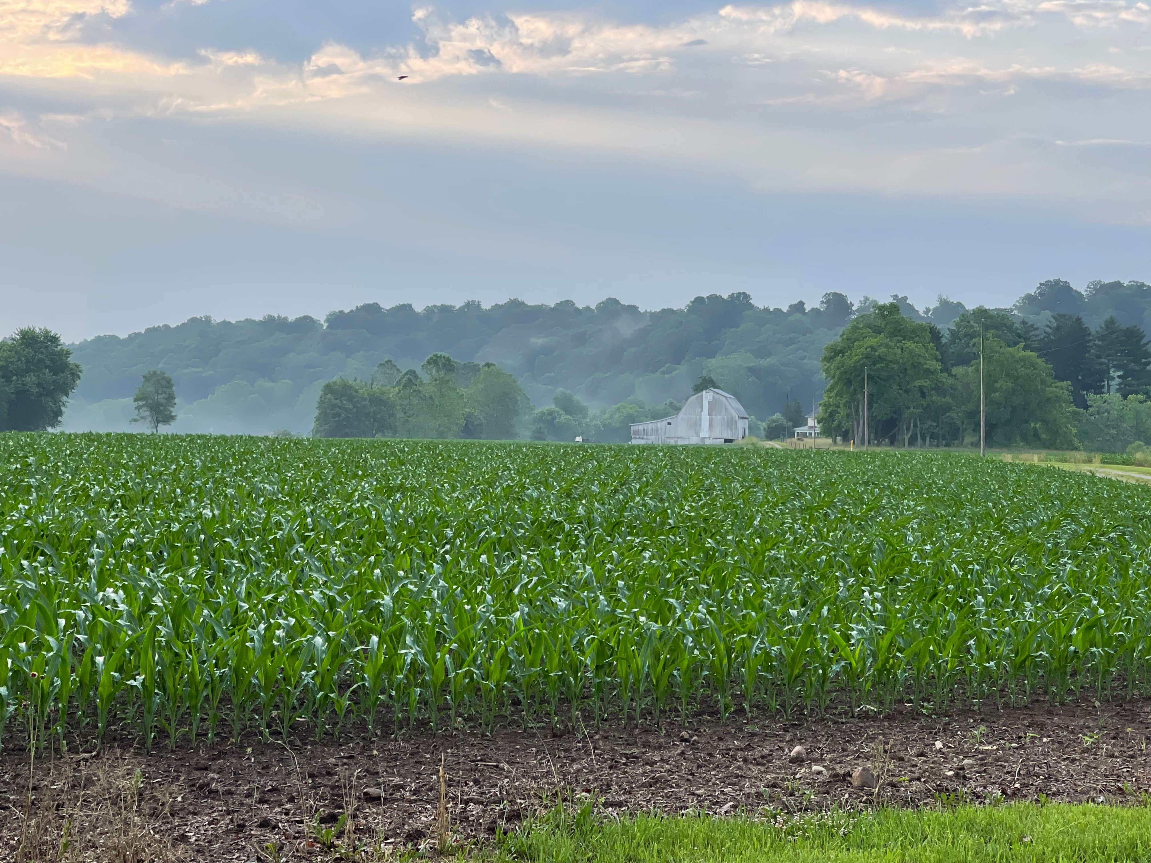 Camper-submitted photo at Lakeview RV Park near Lockbourne, OH