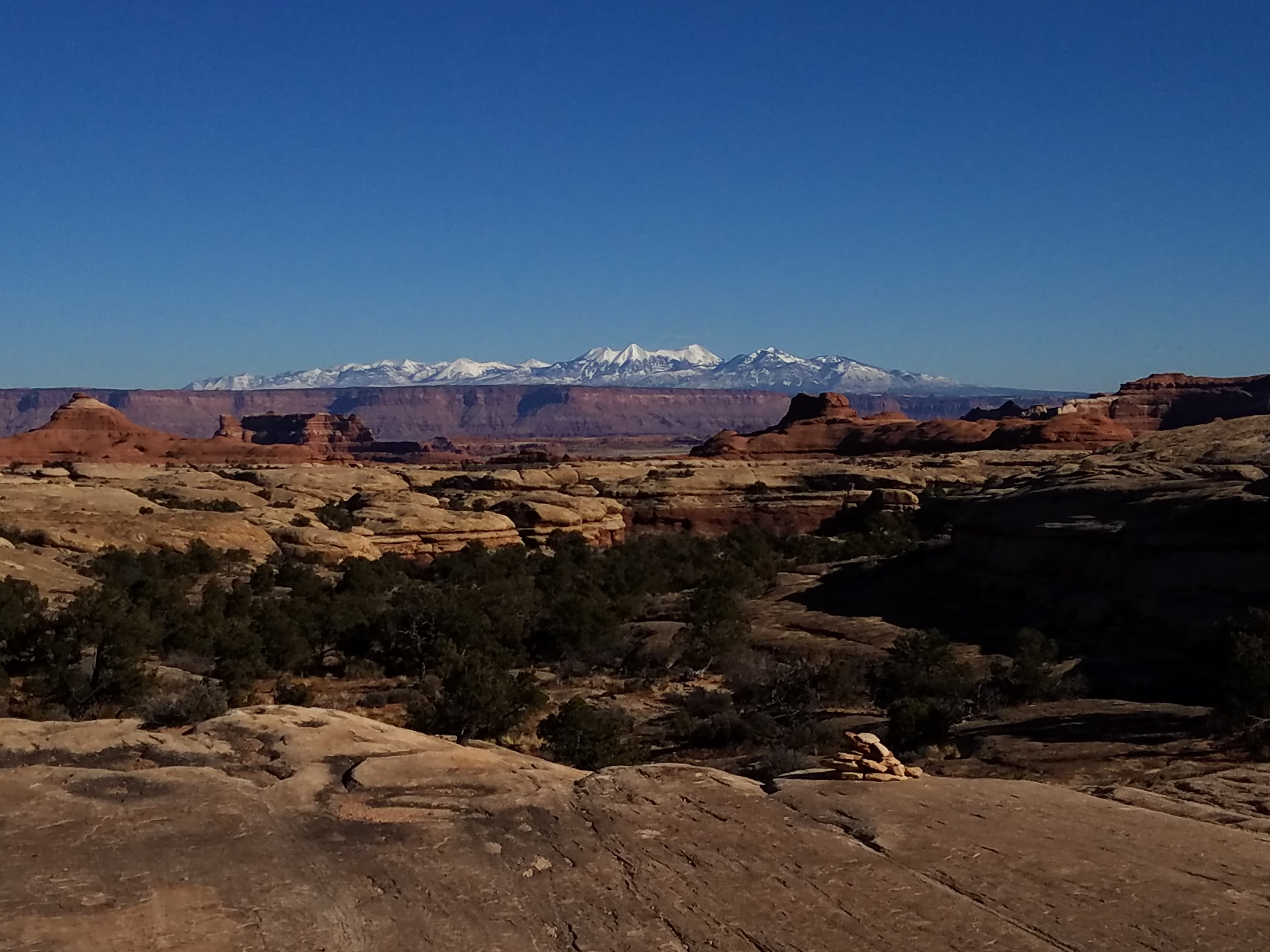 Camper submitted image from Split Top Group Campsite — Canyonlands National Park - 2