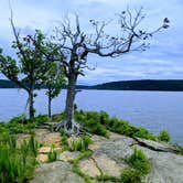 Review photo of Sequoyah Bay Marina and Cabins — Sequoyah Bay State Park by Stephen & Theresa B., June 24, 2021