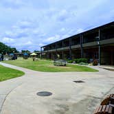 Review photo of Sequoyah Bay Marina and Cabins — Sequoyah Bay State Park by Stephen & Theresa B., June 24, 2021