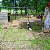 Review photo of Sequoyah Bay Marina and Cabins — Sequoyah Bay State Park by Stephen & Theresa B., June 24, 2021