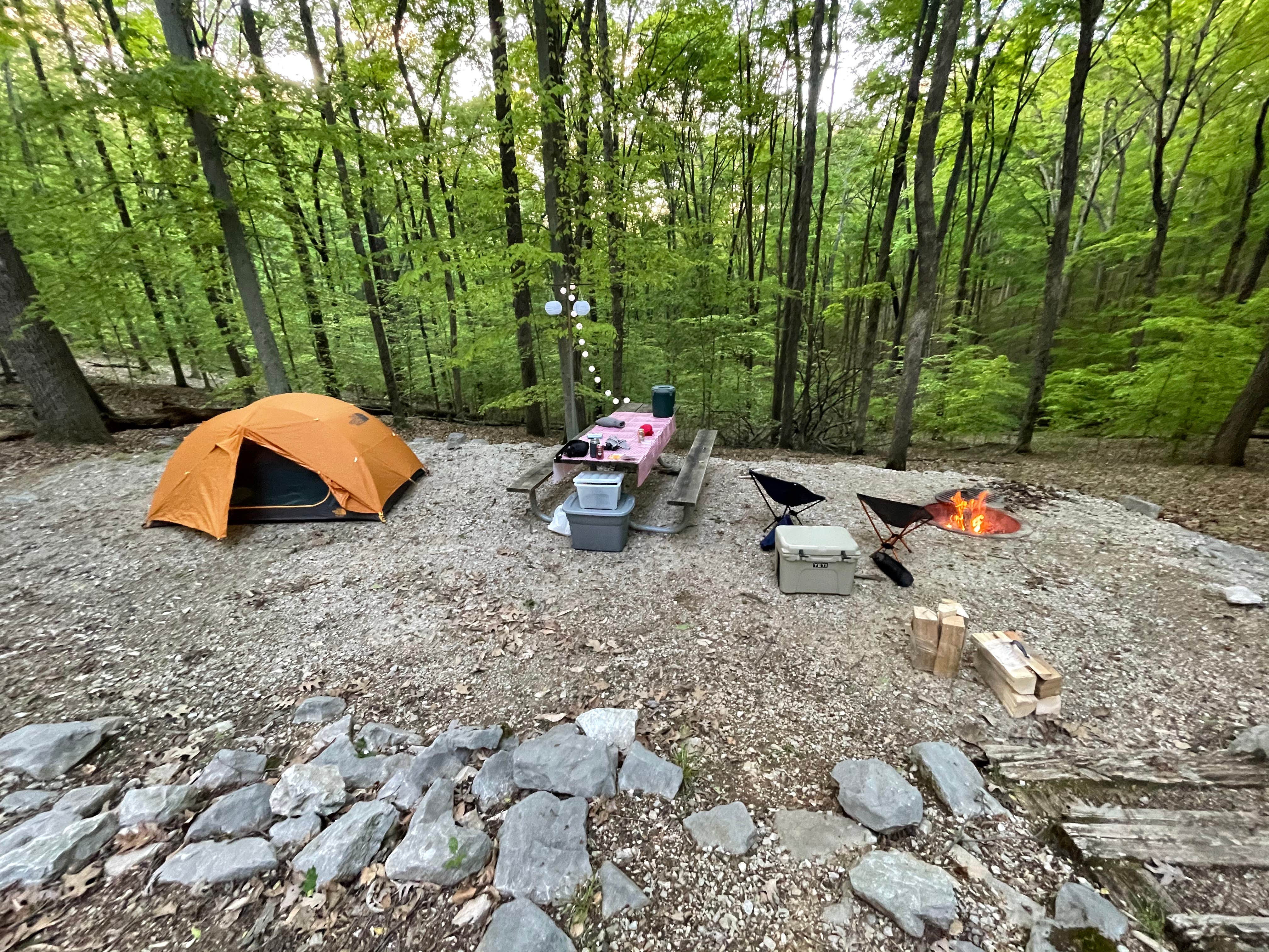 Best dispersed camping in Hoosier National Forest The Dyrt