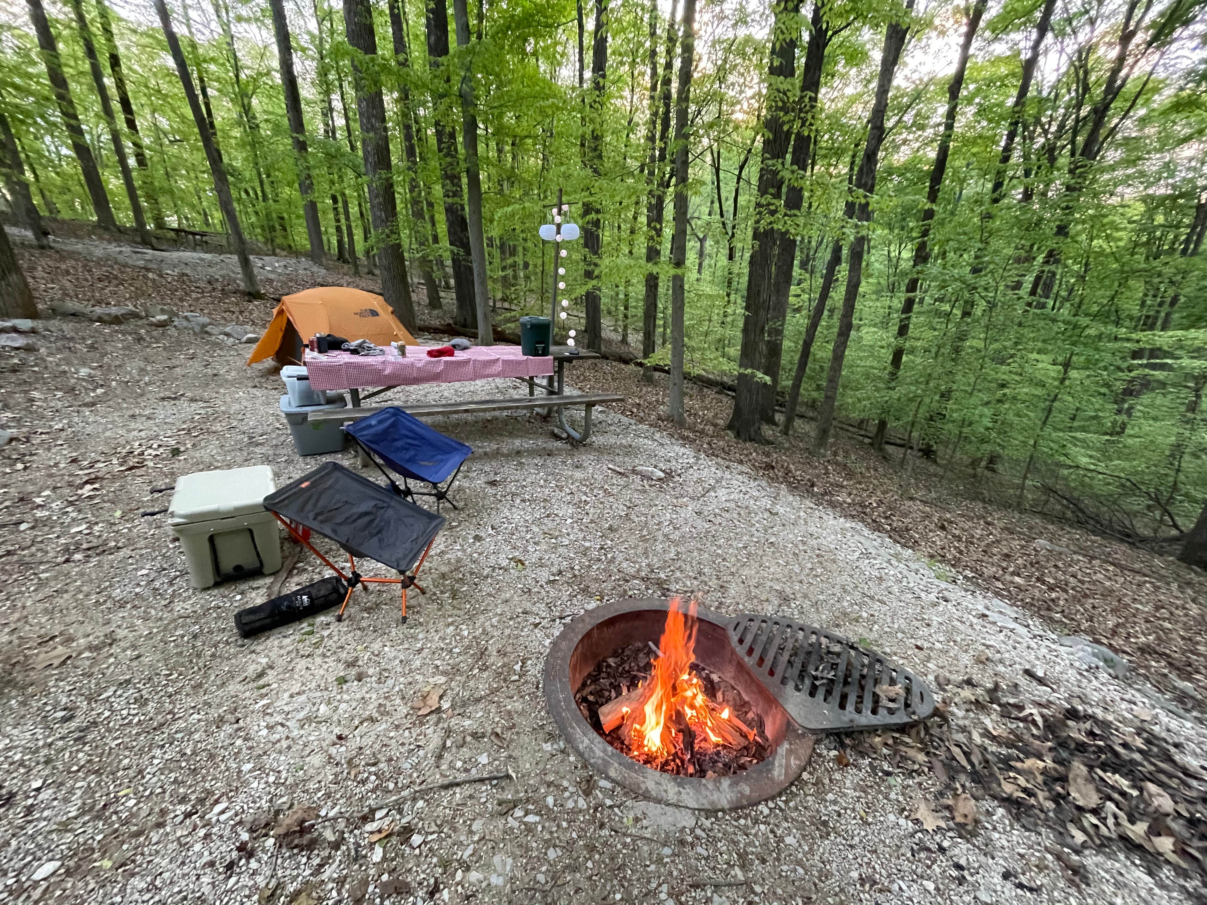 Best dispersed camping in Hoosier National Forest The Dyrt