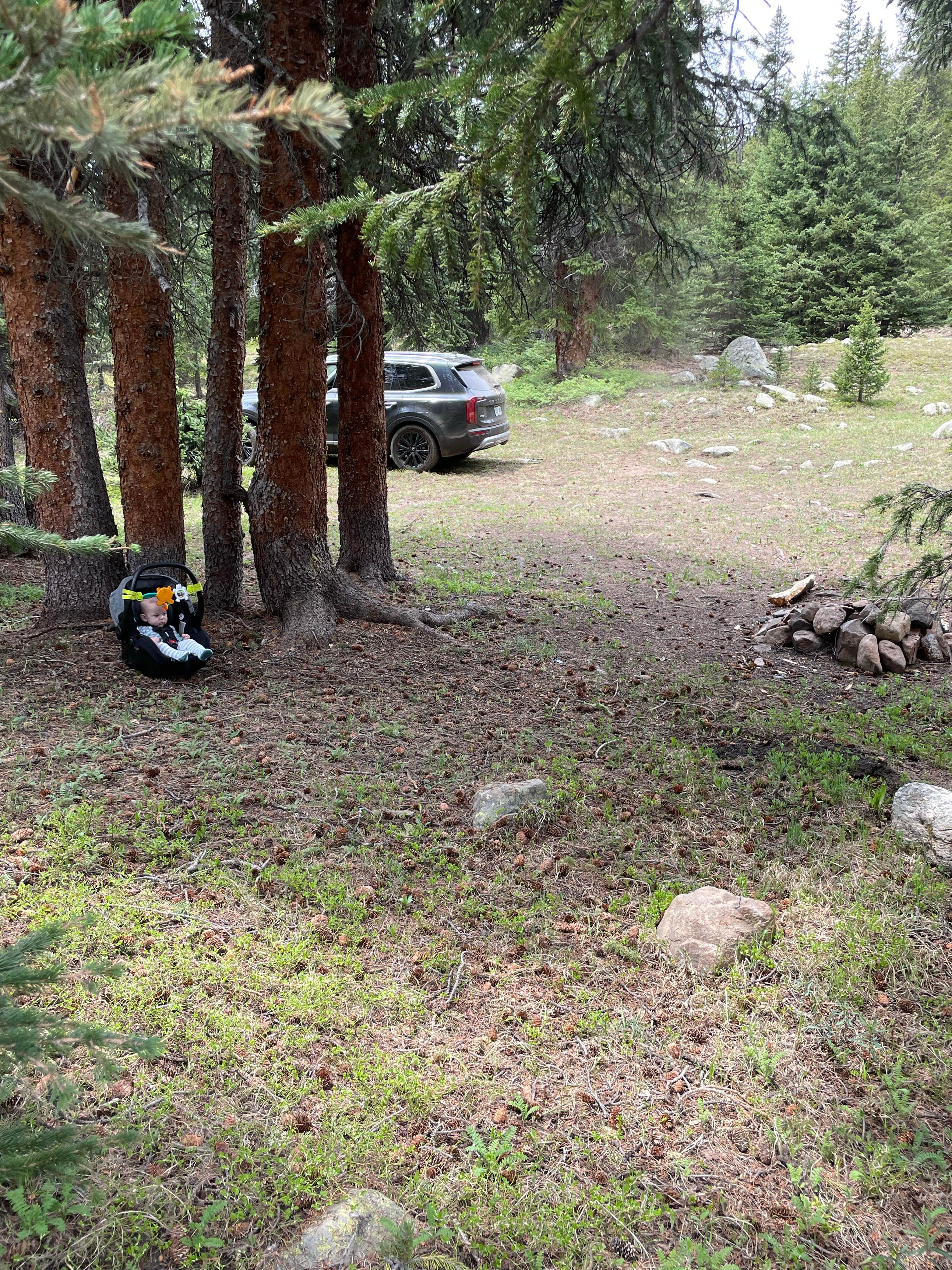 Camper submitted image from Saints John Trail Roadside Campsites - 2